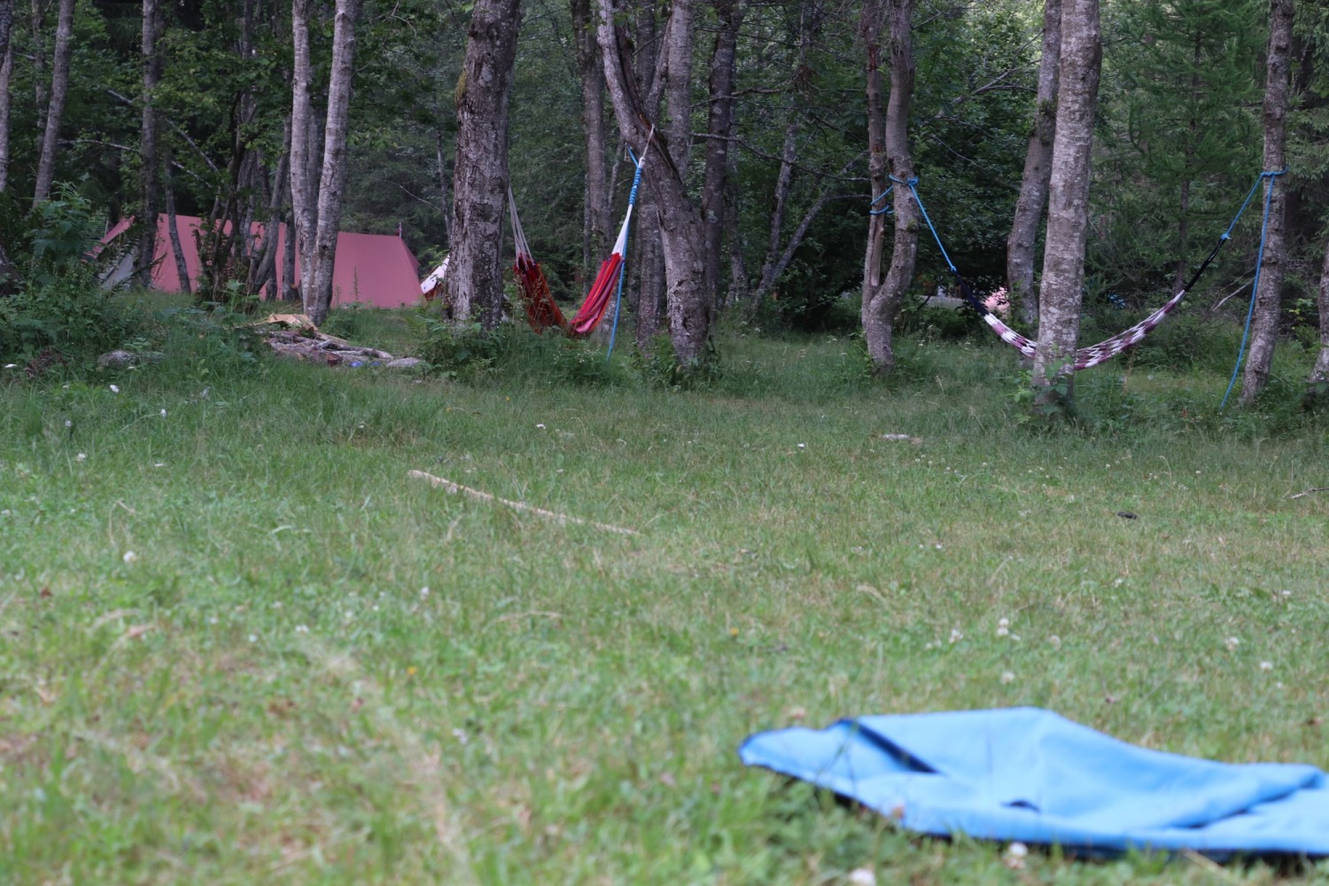 d8987d990462c2699fc61c4cb8fe8103.jpg